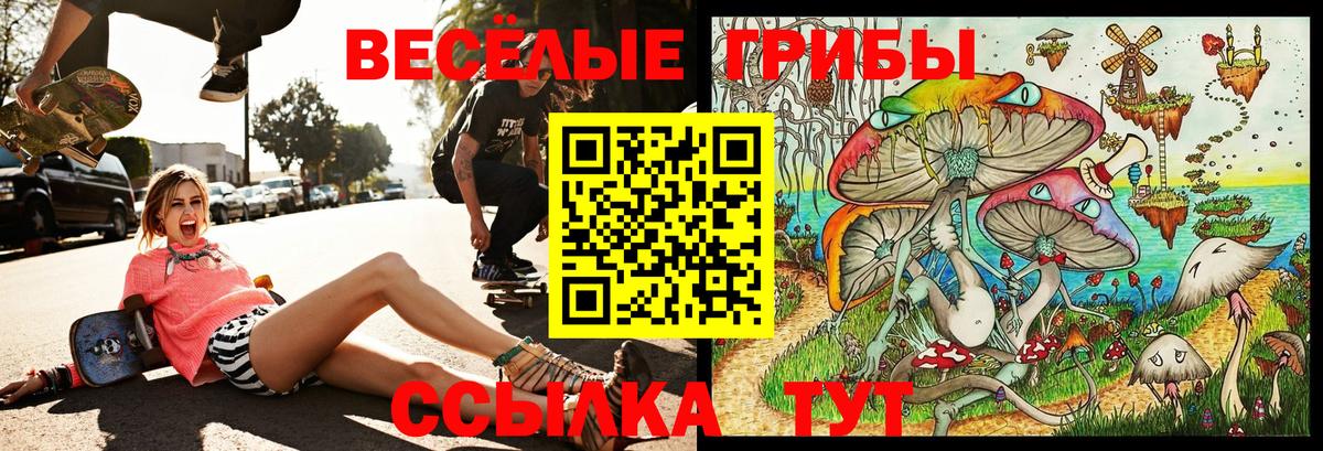Галлюциногенные грибы мухоморы  Вход с VPN  Избербаш  Галлюциногенные грибы прущие грибы 