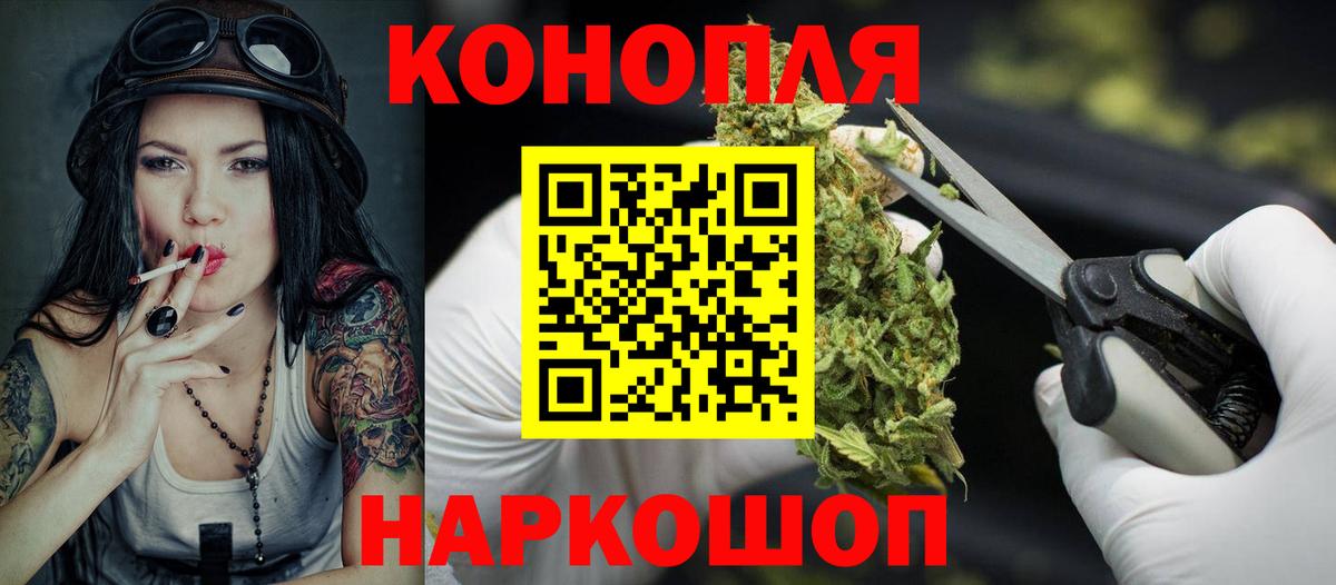 Канабис семена Избербаш